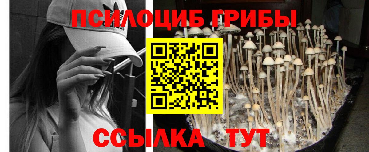 Галлюциногенные грибы прущие грибы Луга